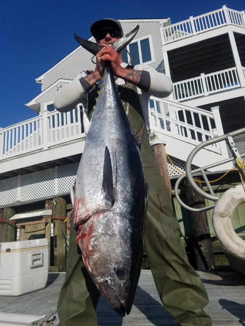 Offshore Tuna Fishing - Moover Fishing Adventures