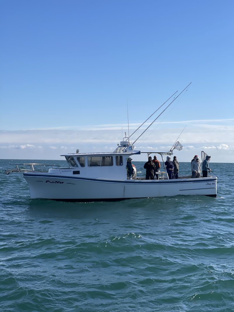 Flounder & Black Sea Bass Regulations Moover Fishing Adventures