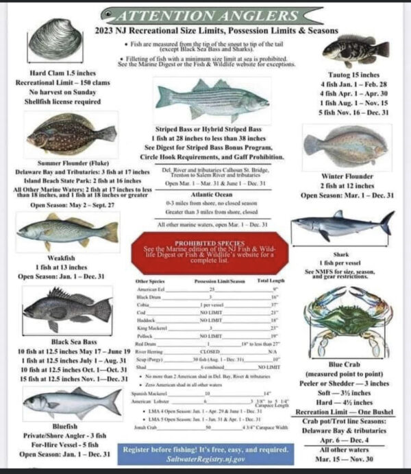 2023 NJ Fishing Regulations Moover Fishing Adventures