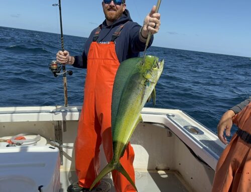 Mahi-mahi Ocean City