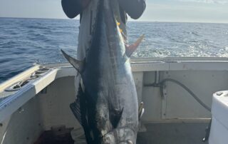 Tuna Fishing