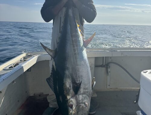 Ocean City Tuna Fishing