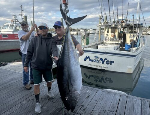 Inshore Bluefin Open Boat